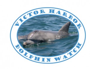 Victor Harbor Dolphin Watch logo